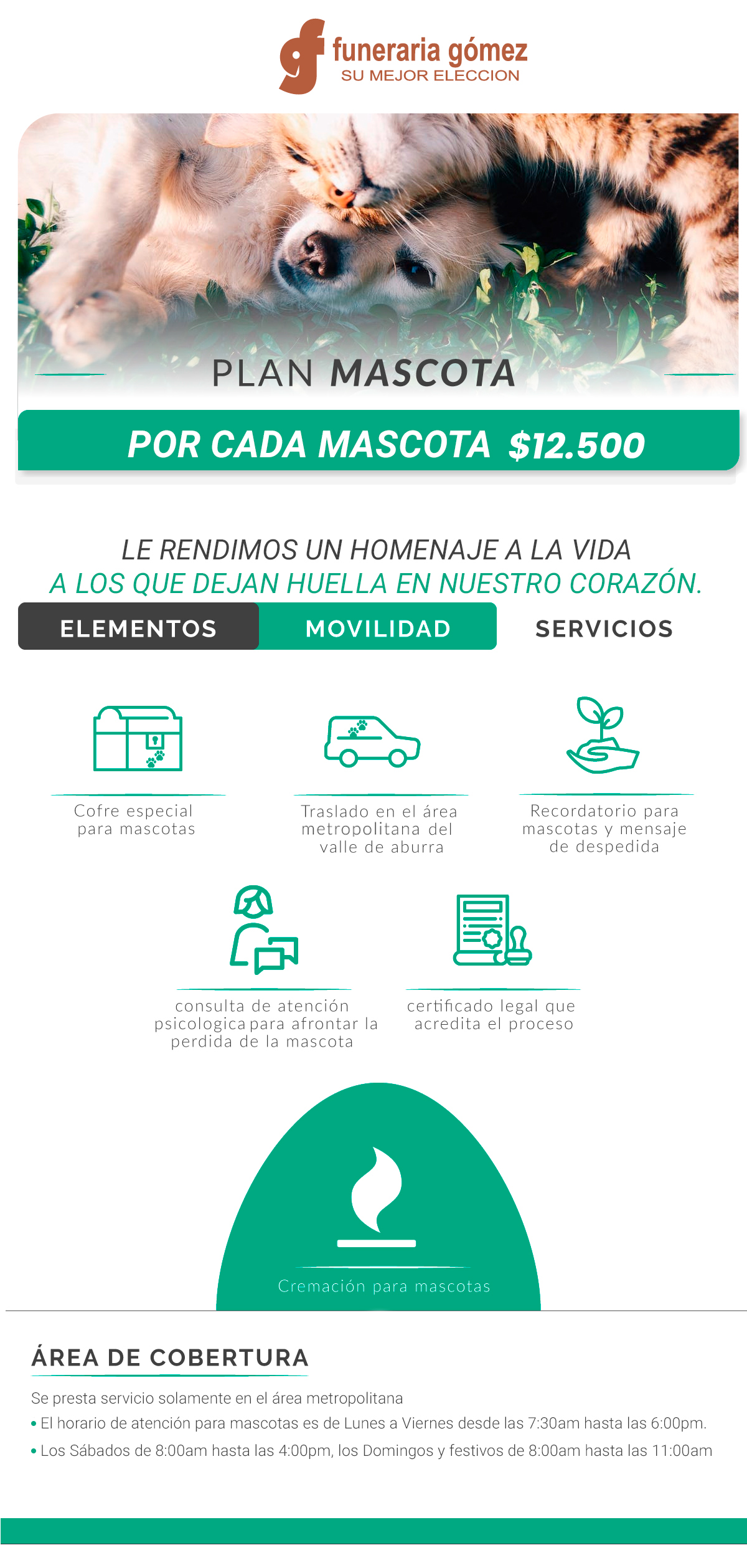 Infografía con plan de precios para mascotas